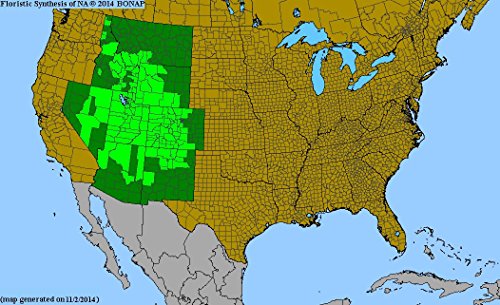 Rocky Mountain Columbine Seed Balls For Fall Planting - Bulk Seed Balls For Seed Bombing (Aquilegia Caerulea) (20) #TOP5