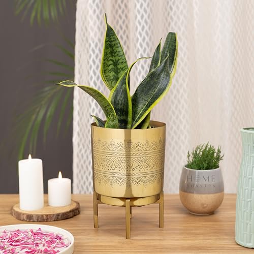 Image of Raaga Gold Metal Planter with Stand | Pack of 1 | 8 Inch (Height) 6 inch (Diameter) Planters for Living Room, Bedroom Decor