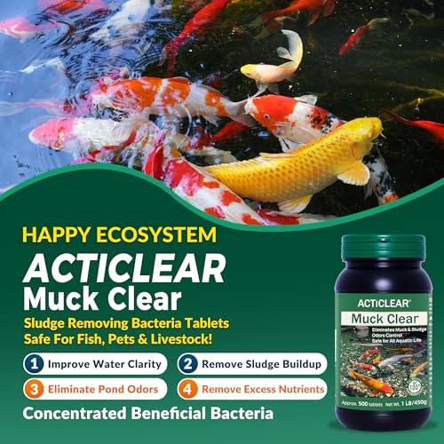 ActiClear Muck Clear – Natural Pond Sludge Treatment, 500 Tablets for Ponds, Fountains & Bird Baths, Beneficial Bacteria & Enzymes, Chemical-Free & Safe for Fish, Pets & Wildlife
