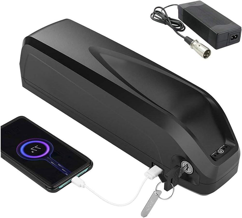 Akumulator 48V 20Ah 22Ah 24Ah, akumulator 18650 odpowiedni do 200W 300W 400W 5500W 800W 1000W, wodoodporna płyta ochronna z materiału PVC 48V24AH (24AH,48V)