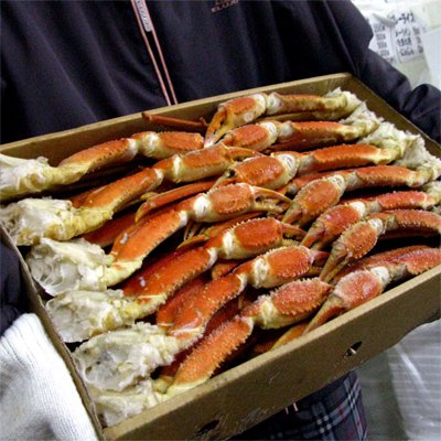 {YCKj 󂠂 {C  5kg Ɩp