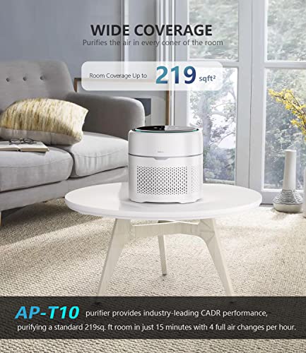 https://m.media-amazon.com/images/I/51mL8TNNIML._SL500_.jpg