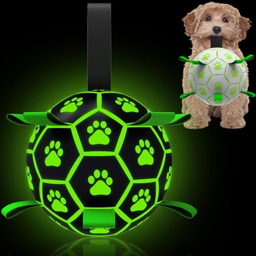 QDAN Premium Glow in The Dark Dog Toys, Dog Ball with Straps, Soccer Ball for Dogs, Outdoor Dog Toys, Pet Birthday Toys, Puppy Essentials for Small to Medium (6Inch) Glow in the dark I Mediu
