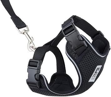 RC Pets Adventure Kitty Harness Includes Adjustable, Airmesh Fabric, 6' Leash and D-Ring Cat Walking Harness | Black, Medium