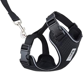Rc Pet Products 53804001 Collection
