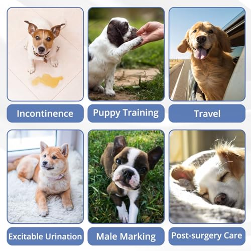 Image of Paw Legend Washable Dogs Diapers Male Dog Belly Bands for Male Dogs Diapers Reusable Puppy & Doggie Diapers Male