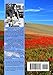 La Magia Del Camino (Spanish Edition)