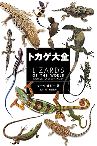 有名な高級ブランド レア本 タイの爬虫類図鑑 爬虫類 両生類用品 Www Qiraatafrican Com 有名な高級ブランド レア本 タイの爬虫類図鑑 爬虫類 両生類用品 Www Qiraatafrican Com