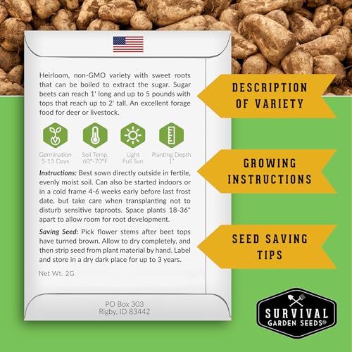 Sugar Beet Seeds for Planting – Survival Garden Seeds (5 Pack) - Image 2