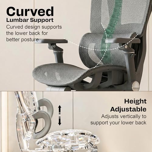 Image of DROGO Magnus Ergonomic Office Chair for Work from Home, Computer Chair with 7D Armrest, Headrest, Curved Lumbar Support, Adjustable Back & Sliding Seat | 130 Recline, Footrest & Aluminium Base (Grey)