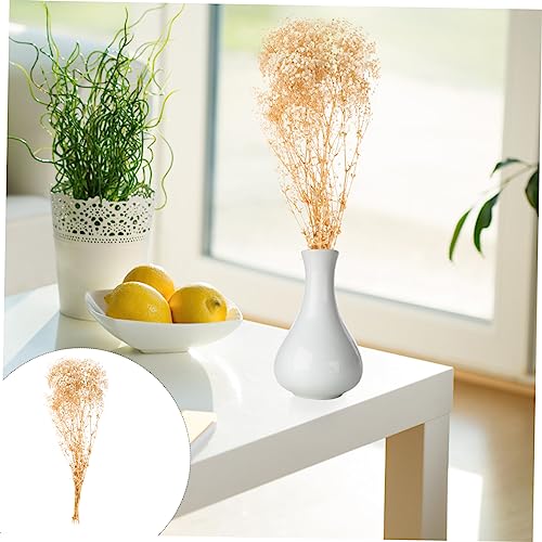 Ramilletes de flor Gypsophila seca natural para decoración miniatura 2