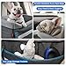 BurgeonNest Dog Car Seat for Small Dogs, Cozy Dog Booster Car Seat with Unique Safety Buckles,Puppy Carseat Covered with Double-Thick Plush, with Clip-on Leash Suitable for Small Pets Up to 20lbs