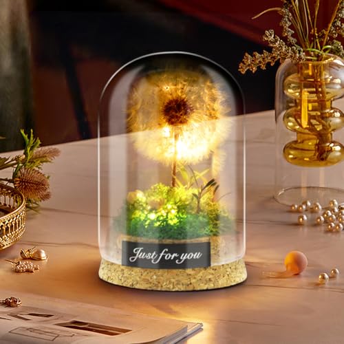 Umllpet Wunschblume -Echte Pusteblume im Glass, Deko Geschenke im Glas, Wunscherfüller mit LED Lichterkette, Echte Pusteblume im Glas, Geschenk für...
