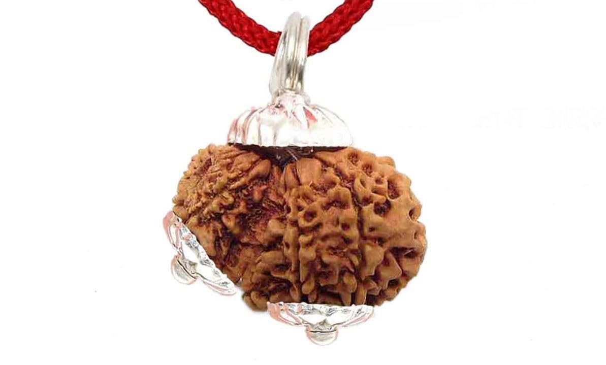 SRT Rudra Garbh Gauri Rudraksha Original Certified गर्भ गौरी रुद्राक्ष Rare Nepali Gauri Ganesh Rudraksha Jap Bead Natural Garbh Gawri Rudraksh Silver Pendant For Puja-picture-55