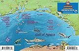 Florida Panhandle Dive & Wreck Map & Reef Creatures Guide Franko Maps Waterproof Fish Card