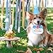 Imagen de Wisebom Cumpleaños Perro Juego de Gorro