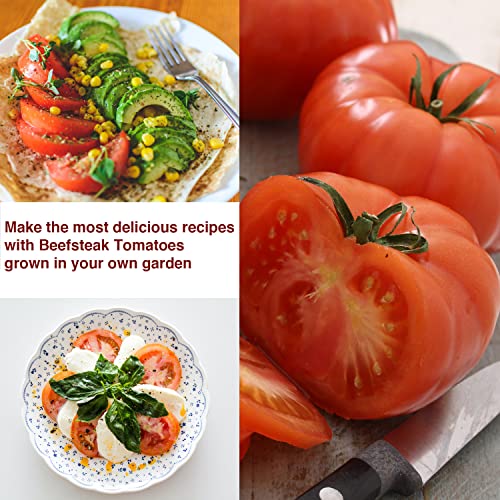 Beefsteak Tomato Seeds - All Natural/Non-Gmo Heirloom Beefsteak Tomato Seeds - Pack Of 50 Open Pollinated Vegetable Seeds For Planting Home Garden - Growing Instructions Included #TOP3