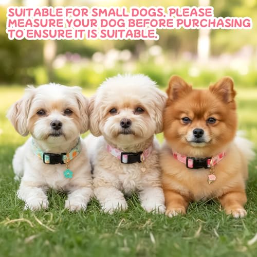 Collar ajustable para perros pequeños, 3 piezas miniatura 5