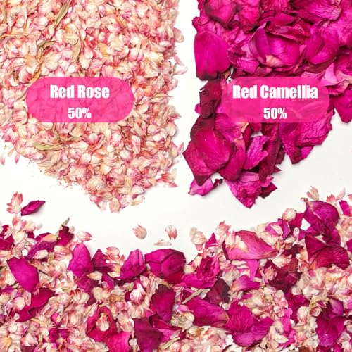 Image of 50 Pack Real Dried Rose Flower Petals Confetti, Dried Mix Red Rose Begonia