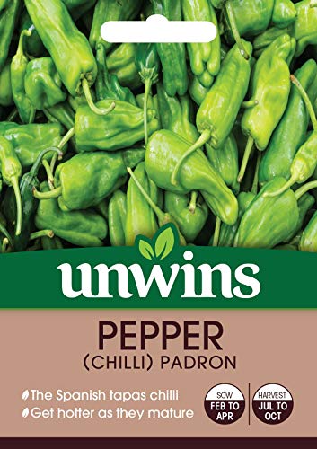 Unwins Vegetable Pepper (Chilli) Padron 10 Seeds