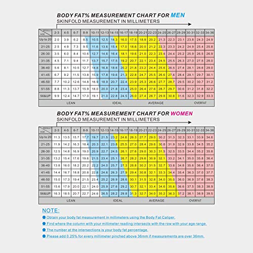 Best Body Fat Calipers in 2021 Ratings, Prices, Products