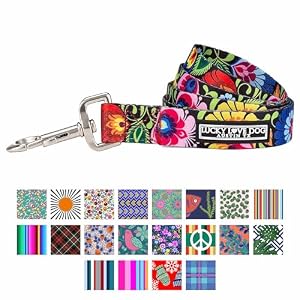 Lucky Love Dog Leash, Beautiful Vivid Patterns, Durable & Long Lasting (BlackBird, Large) Lucky Love Dog Leash, Beautiful Vivid Patterns, Durable & Long Lasting (BlackBird, Large)