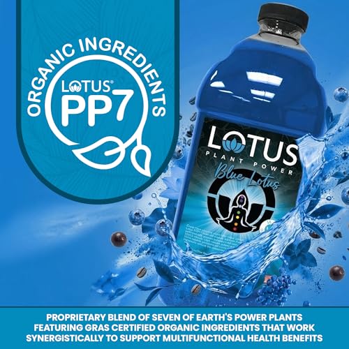 Image of Blue Lotus Plant Power Energy Drink Concentrate, PP7 Formula | Natural Caffeine, Plant-Based Organic Ingredients, Organic Cane Sugar Beverage, 1:5 Mix Makes 64 6oz Drinks