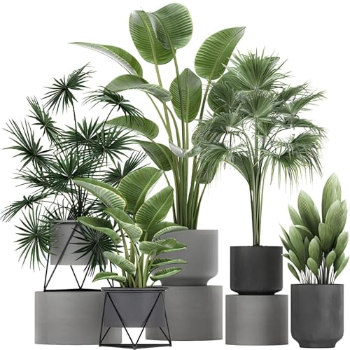 Pegatina planta verde, 3D Bonsai Planta Tropical Pegatina de pared de vinilo creativo Pelar y pegar arte de la pared extraíble Decoración para sala de estar Dormitorio Oficina en casa