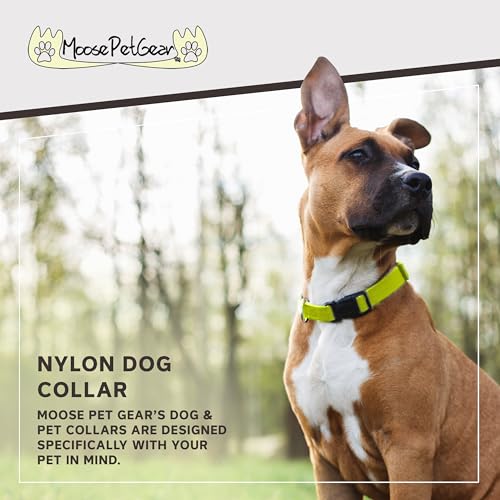 Image of Dog Collar - Colored Adjustable Pet Collars - 3 /4 Inch Wide, Small, Hot Yellow