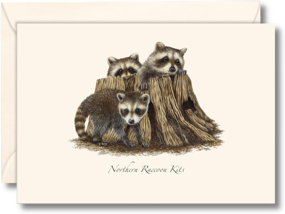 Earth Sky + Water - Raccoon Kits Notecard Set - 8 Blank Cards with Envelopes