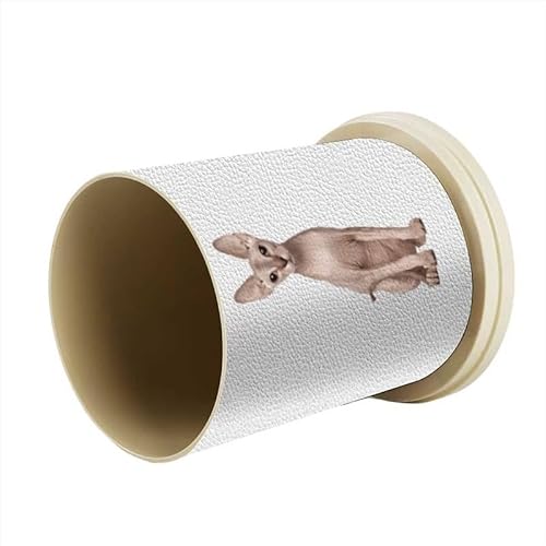 SphynxєL y y M [ M yz_[ [ CNuV  ~` M e @\ [{bNX  g₷ ϕi ItBX ƒp ޔ a v[g