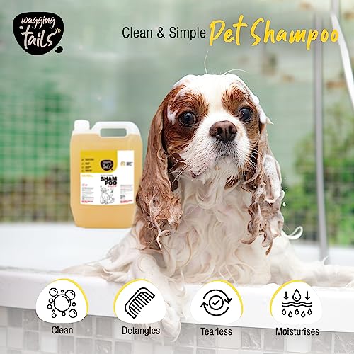 Image of Wagging Tails Slick & Shine 5-in-1 Pet Shampoo -5 LTR | Anti-Itching & Anti-Dandruff Deep Cleanser Shampoo All Breed Dog & Cat