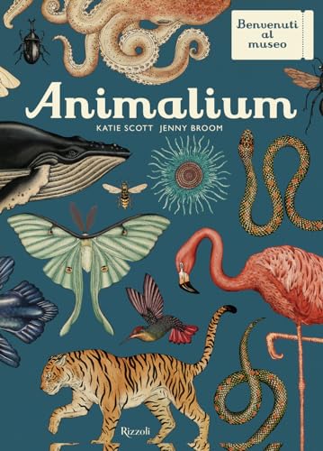 Animalium. Il Grande Museo Degli Animali Animalium. Il Grande Museo Degli Animali