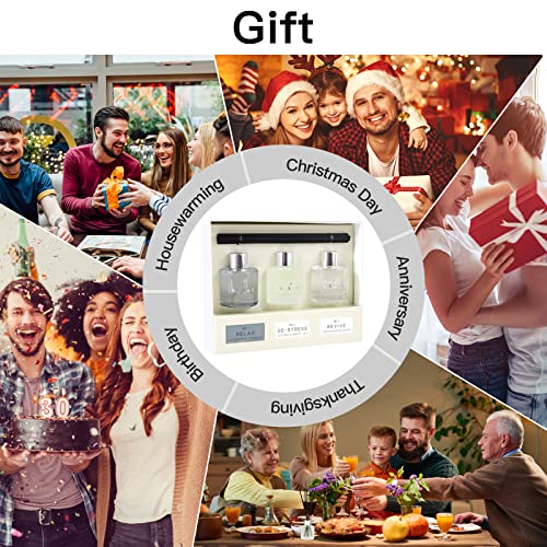 3 Pack Fragrance Reed Diffuser, 50Ml Lavender Jasmine Lemongrass Aromatherapy Diffuser Set With 12 Black Fiber Sticks,Air Freshener For Bedroom Bathroom Office, 8.2X 6.6X 2.1 Inch #TOP7