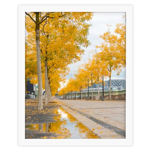 Golden State Art, Solid Wood 16x20 Wooden Picture Frame - for 16x20 Photos, 1-1/4-Inch Wide with Real Glass - Horizontal and Vertical Wall Display, Great for Engagement, Wedding, White, 1 Pack