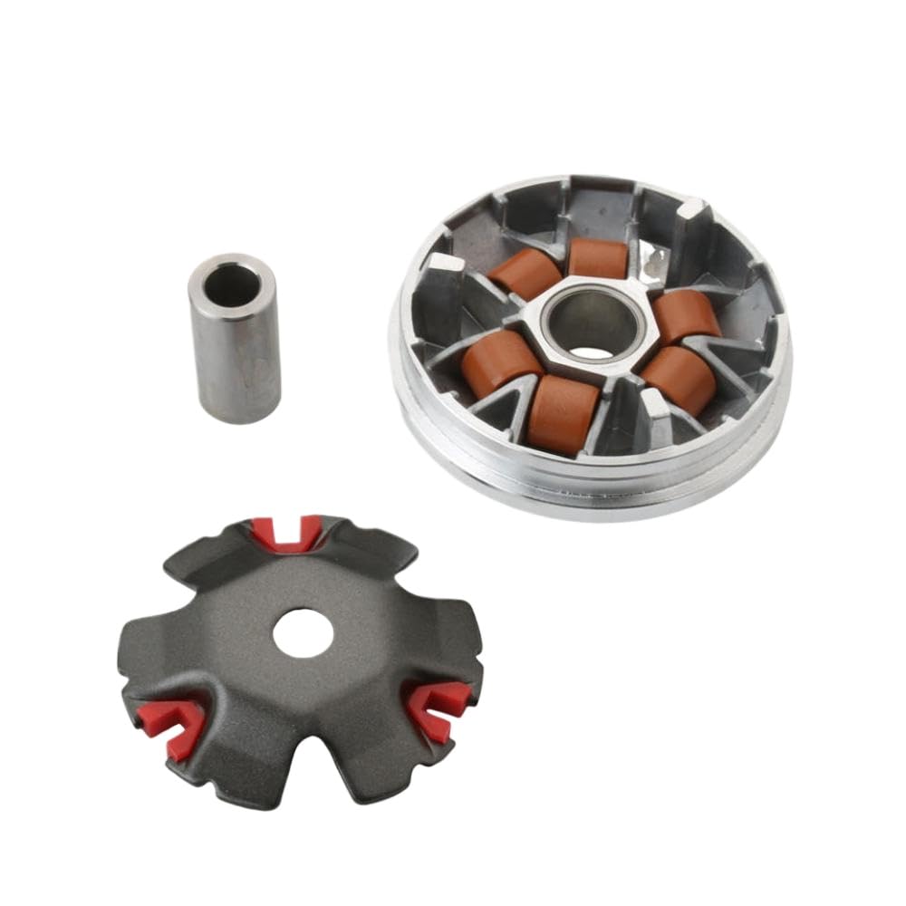 Roller Variator Kit Racing Roller 16x13mm 9g Kompatibel mit Buxy M 50 Vivacity Speedake Speedfight 1 2 Splinter Squab TKR 50cc