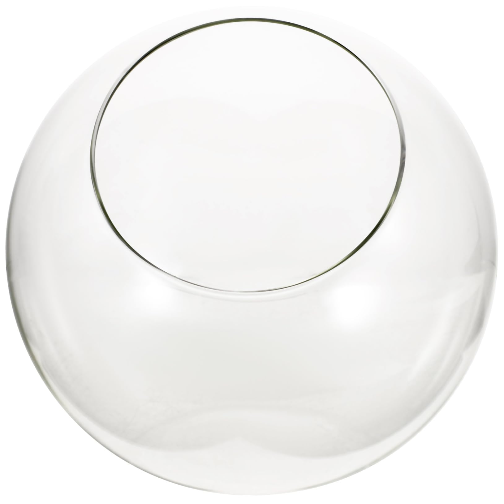 Toddmomy Terrarium in Vetro Trasparente a Bocca Obliqua, Vaso Decorativo Fai-da-te per Piante Grasse e Bromelie, Elegante per Matrimoni e Compleanni