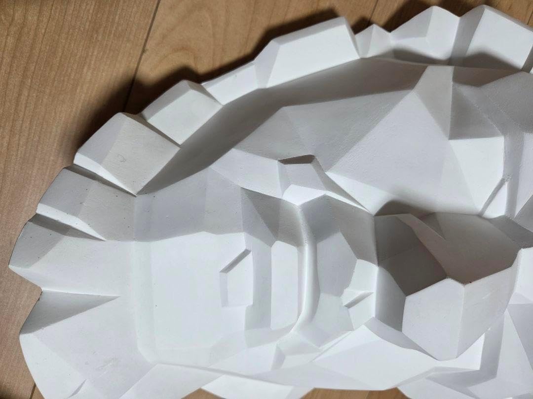 石膏像 大顔面 ルキウス 面取り デッサン