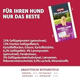 animonda GranCarno Junior Hundetrockenfutter Geflügel + Lamm (1 x 4 kg)