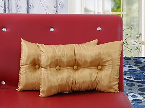 Dekor World Deco Filled Elegant Pillow Cover (Pack of 2)