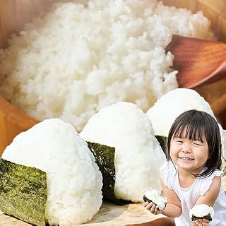 【隔月6回定期便】熊本県産 ブレンド米 くましずく 無洗米 5kg《お申込み翌月から出荷》こめ ふるさとのうぜい コメ お米 おこめ