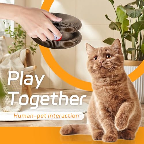 Oimsoit 2-Pack Kitty Curls Twisty Paws Cat Toys - Foldable Accordion Honeycomb Magic Organ Cat Scratching Pads - Interactive Toy with Scratcher Pad & Ball for Indoor Cats (2pcs) by Oimsoit - Used condition - Image 4