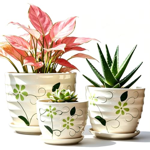 Image of FOLKLORE13 Vintage Flower Pots for Indoor Plant, Round Ceramic Plant Pots with Drainage Holes and Saucers, 6.7/5.2/3.9 Inches Retro Flower Planters Set of 3