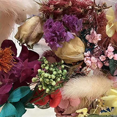 Flores Secas Flores Secas Para Resina Verdadeiro Folhas Pétalas Flores Secas Pressionado Para O Ofíc