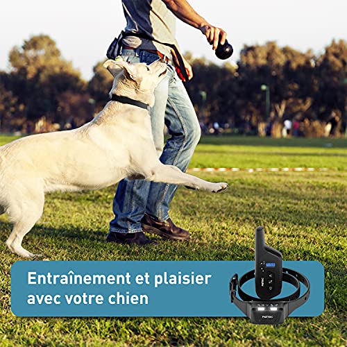 Utilisation en extérieur du collier PetTec