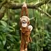 Imagen de Wild Republic