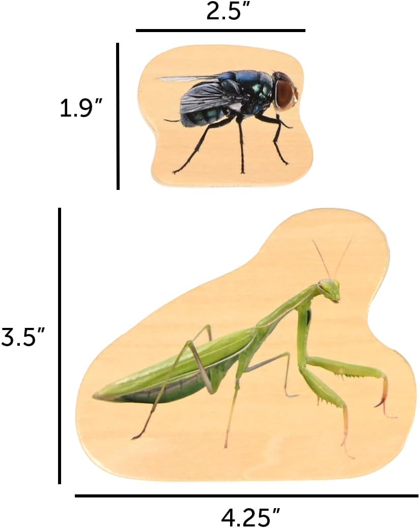 TickiT Wooden Minibeast Blocks - Set of 15