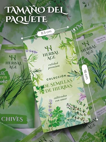 Miniatura 4 de 12 Variedades De Kit Plantas Aromáticas 8700 Semillas Urbano Para Cultivar De Hierbas Frescas En Casa Interior, Jardin Semillas Lechuga, Albahaca, Perejil Regalos Originales Para Mujer Y Hombre