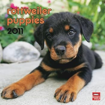 Calendar Rottweiler Puppies 2011 Calendar Book
