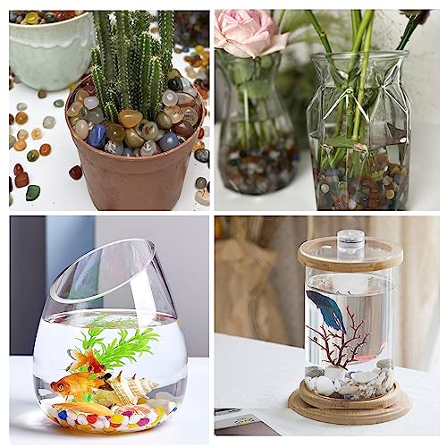 Color Decorative Stones 0.3 Inch Polished Gravel Rocks Crushed Crystal Quartz Pieces For Flower Pots Vase Filler Air Plants Bamboo Succulents Cactus And Aquarium Fish Tank Decor 1 Pound - Camutkry #TOP4